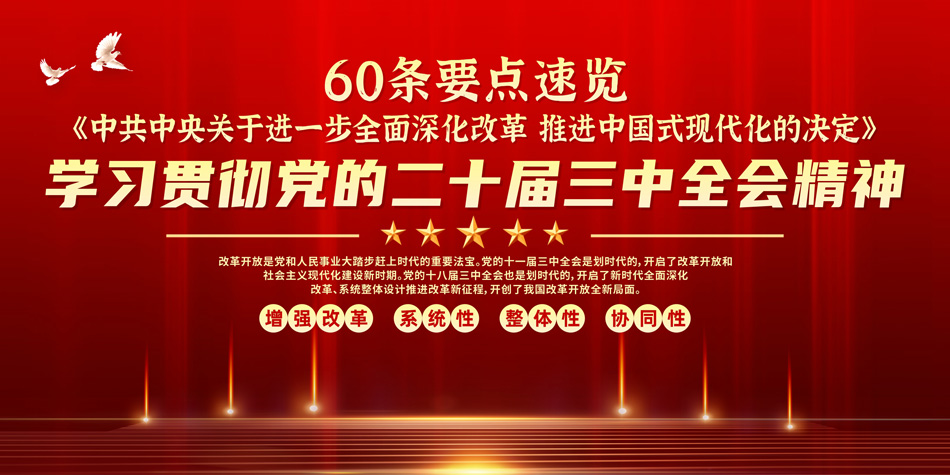 进一步全面深化改革推进中国式现代化的决定党建展板